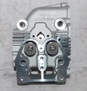 Головка блока цилиндра SDG 6500EHA,CP192FE (в сборе - клапаны,пружины) Cm / Cylinder head assy (20021-00160-00)
