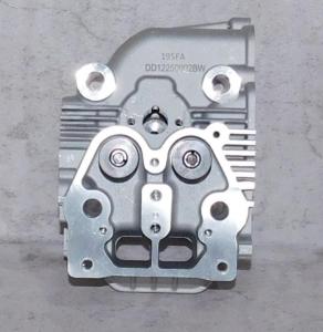 Головка блока цилиндра SDG 7500(..),CP195FE (в сборе - клапаны,пружины) Cm / Cylinder head assy (20021-00159-00)