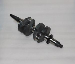 Вал коленчатый SDG 10000(..),LT290FE Lt / Crankshaft (1.02.05.01.0076)