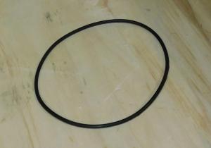 Кольцо уплотнительное выпускного фланца TSS PGST80/Exhaust flange sealing ring PGST80 №16, (70010-04166-00)
