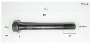 Болт головки блока цилиндров (L=123,5 мм) /Cylinder head bolt