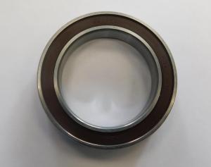 Подшипник ведомого вала виброузла TSS-CP-220/Deep groove ball bearing 6910, CNP330Y-1-C24 (4060100123)