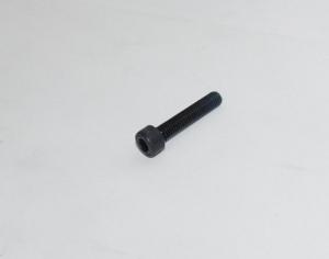 Винт крепления ручки газа TSS-JH96/Inner Hexagon Cylindrical-head Screw M5×25, TSS-JH96 (№5)