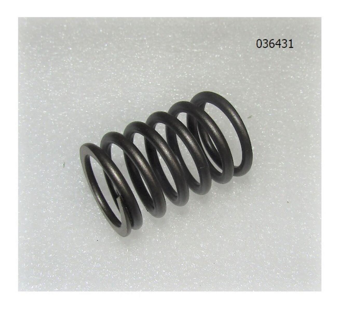 Пружина клапана SGG 10000Ei,SV460 до 08.2024 Sc / Valve spring (34015-00004-00)