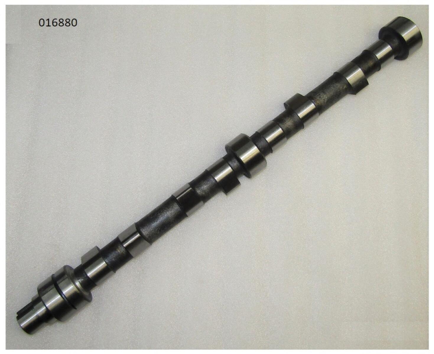 Вал распределительный Ricardo Y495DS; TDK 26,42,N38,56,66 4L/CAMSHAFT (495-02001 (b)) Вал распределительный Ricardo Y495DS; TDK 26,42,N38,56,66 4L/CAMSHAFT (495-02001 (b))