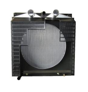 Радиатор охлаждения Ricardo R6110ZLDS; TDK 170 6LT /Radiator (R6110ZLDS Kofo) Радиатор охлаждения Ricardo R6110ZLDS; TDK 170 6LT /Radiator (R6110ZLDS Kofo)