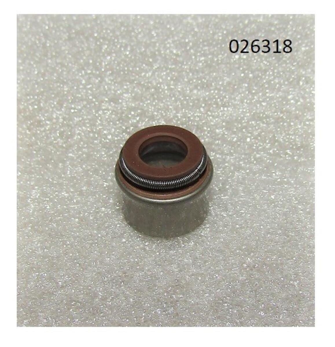 Колпачок маслосъёмный R2V910X / Valve guide oil seal (WS2V88-02030) Колпачок маслосъёмный R2V910X / Valve guide oil seal (WS2V88-02030)