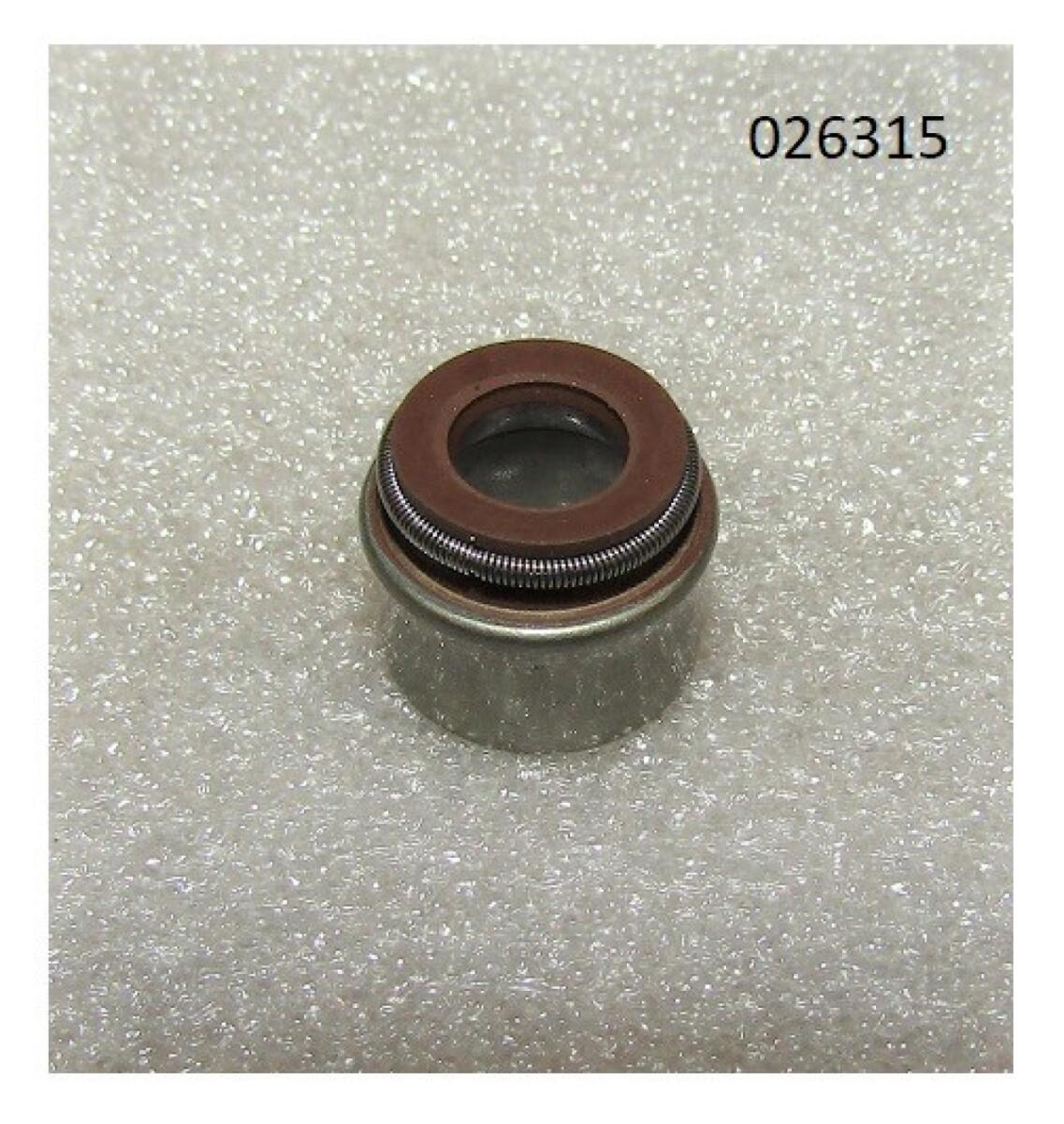 Колпачок маслосъёмный R2V870X / Valve guide oil seal 7*11*10F(WS2V88-02030) Колпачок маслосъёмный R2V870X / Valve guide oil seal 7*11*10F(WS2V88-02030)