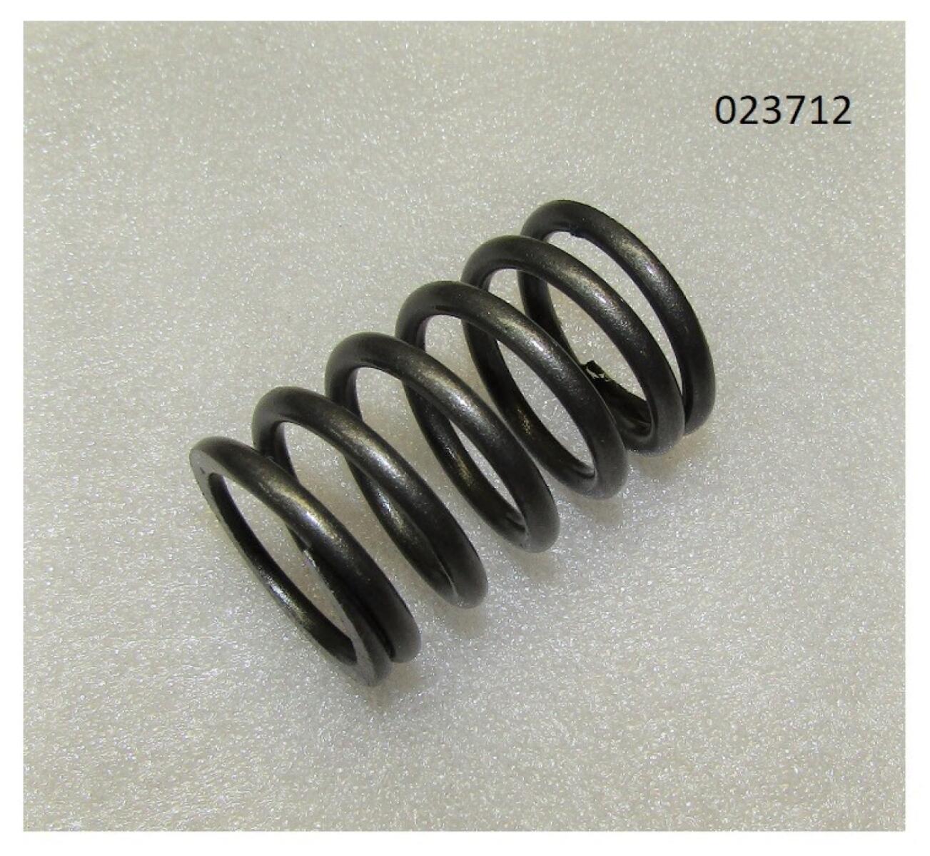 Пружина клапана внешняя Ricardo Y485BD; TDK 17 4L/Valve outer spring Пружина клапана внешняя Ricardo Y485BD; TDK 17 4L/Valve outer spring